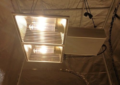 580µmol/s 164ft CMH crescem o espectro completo 630W das luzes