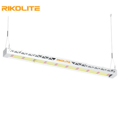 O espectro completo de SMD3030 IP65 300w cresce as luzes, 1450umol/s conduziu o dispositivo elétrico da barra clara