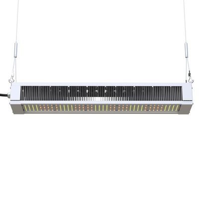 RikoLite 240W que o diodo emissor de luz completo do espectro cresce a barra magro clara, diodo emissor de luz da horticultura AL1100 cresce luzes