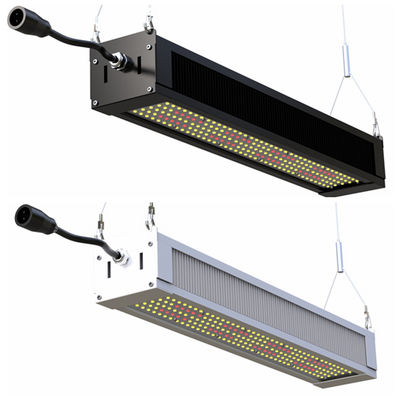 RikoLite 240W que o diodo emissor de luz completo do espectro cresce a barra magro clara, diodo emissor de luz da horticultura AL1100 cresce luzes