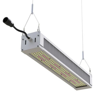 RikoLite 240W que o diodo emissor de luz completo do espectro cresce a barra magro clara, diodo emissor de luz da horticultura AL1100 cresce luzes