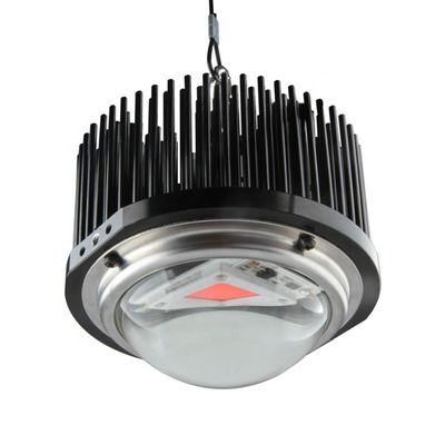 caseiro do DOB 50W conduzido cresce luzes, espectro completo da espiga 1M2 cresce jogos claros