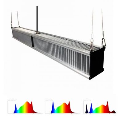 a planta de estufa de 800w 2.7μMol/J cresce luzes o híbrido da horticultura que conduziu a barra 1000w magro