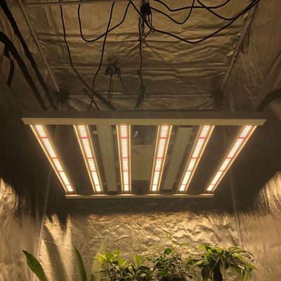 A horticultura 35 centígrada conduzida cresce a barra de luzes da coluna 2.6μMol/J das luzes 480W 6