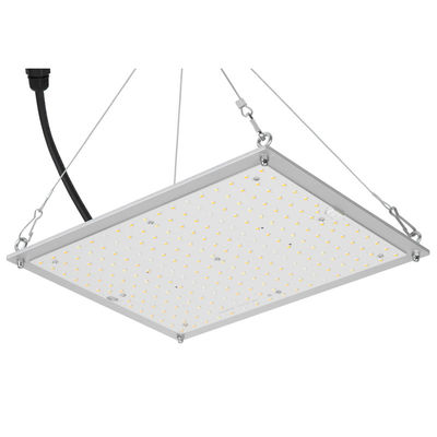 A hidroponia de RikoLite 100W 277vac conduzida cresce a placa 167.3umol/S do quantum das luzes