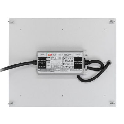 A hidroponia de RikoLite 100W 277vac conduzida cresce a placa 167.3umol/S do quantum das luzes