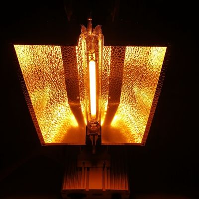 o dobro de 1000W HPS terminado cresce a solução de iluminação de controle remoto 2100umol/s das luzes
