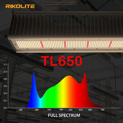 TL650 estufa da PARIDADE 1755umol/S conduzida para crescer as luzes 630W para Veg/flor