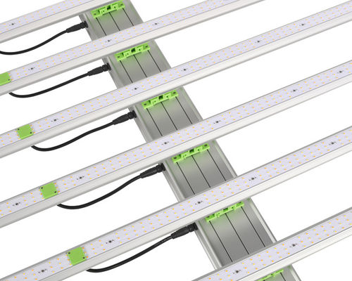 o diodo emissor de luz de 600W 1560μ Mol Plant cresce luzes 6 barras EPAR 380nm-760nm