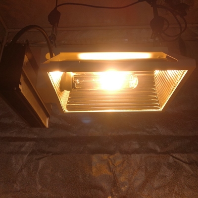 A PARIDADE CMH positivo 150W do ar horizontal cresce o dispositivo elétrico claro para 2X2 cresce a barraca