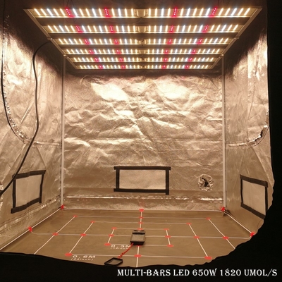 O diodo emissor de luz da estufa das barras de RikoLite 650W 1820umol/S 6 cresce luzes