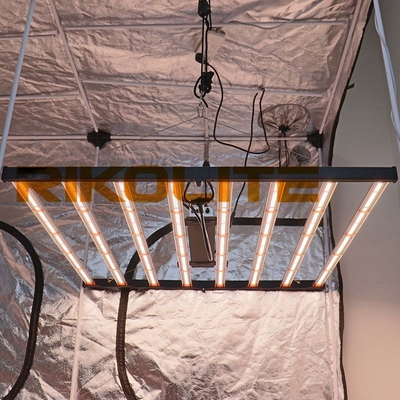 o diodo emissor de luz do poder superior 5X5 cresce as luzes LM301B/LM301H Osram 660nm Osram 730nm