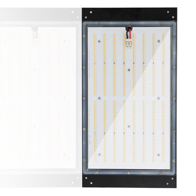 o diodo emissor de luz da hidroponia 120w cresce luzes que 3500k Dimmable IP65 avaliou impermeável