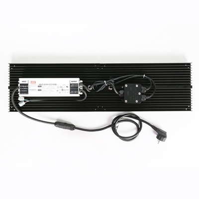 IP65 placa impermeável do quantum do diodo emissor de luz Herb Grow Light 240W SAMSUNG para agrícola