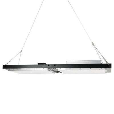 IP65 placa impermeável do quantum do diodo emissor de luz Herb Grow Light 240W SAMSUNG para agrícola