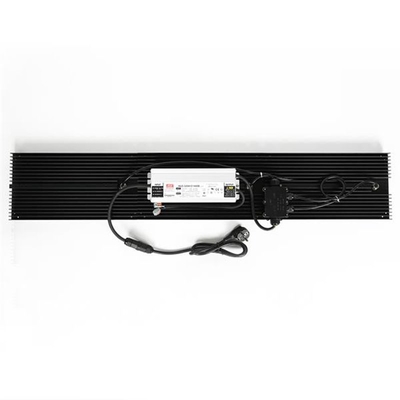 O diodo emissor de luz do quantum da hidroponia cresce o espectro completo das luzes IP65 320w para o vegetal