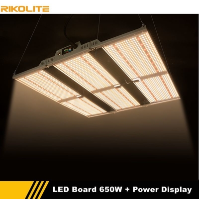 O diodo emissor de luz da horticultura de Rikolite cresce placas do quantum das luzes 650w com função da exposição do poder
