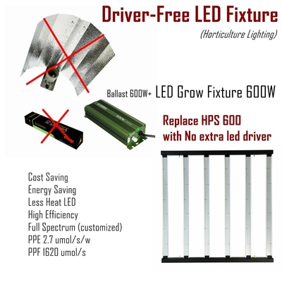 O diodo emissor de luz de Free Full Spectrum do motorista cresce o reator das luzes 600w compatível para a agricultura