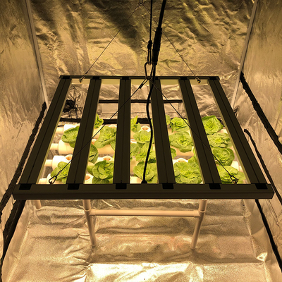 O diodo emissor de luz de Free Full Spectrum do motorista cresce o reator das luzes 600w compatível para a agricultura