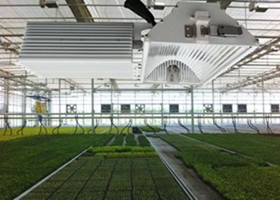 O diodo emissor de luz ESCONDIDO 1050µMol/S cresce as luzes, 630W colhe o alogenuro cerâmico do metal cresce claro