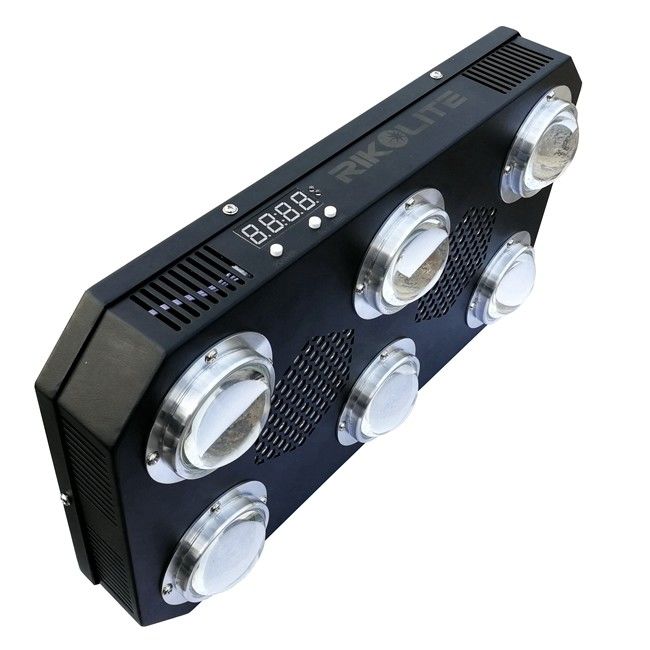 A ESPIGA do diodo emissor de luz de 300W 4.2kgs cresce o fã que de florescência claro da placa do dissipador de calor 24 horas comutam 300w conduzido para crescer a luz
