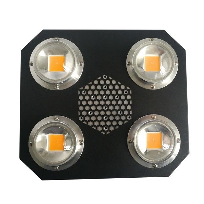 A planta de Rikolite 780nm conduzida cresce luzes Flip Cob Aluminum Alloy UV interno AC855V